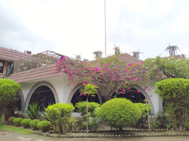 IMG20220725145951.jpg