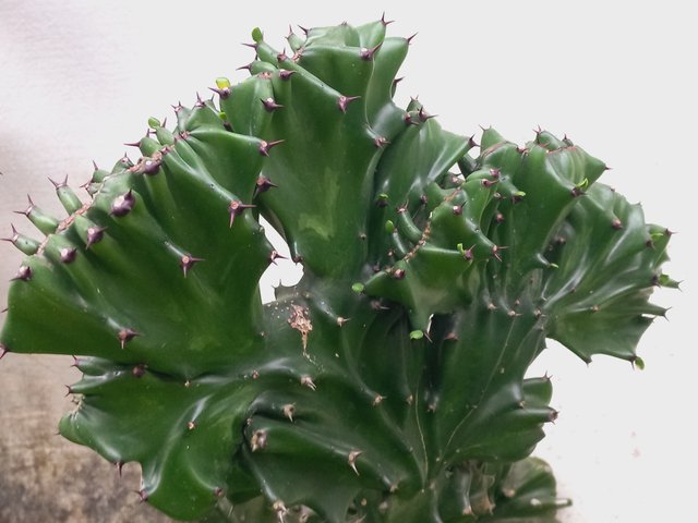 20250705_132938.jpg