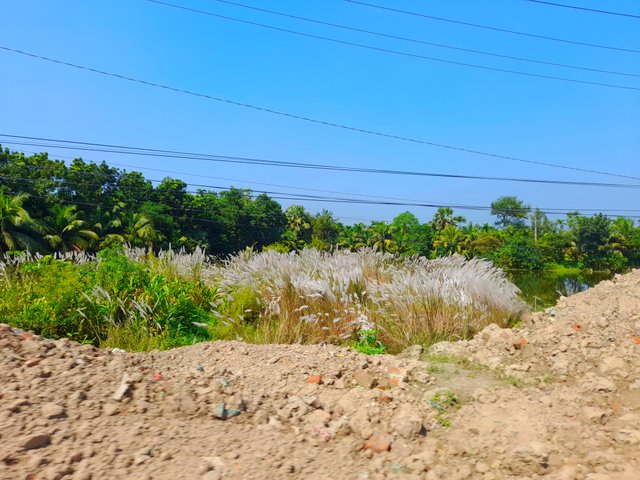 20221028_120156.jpg