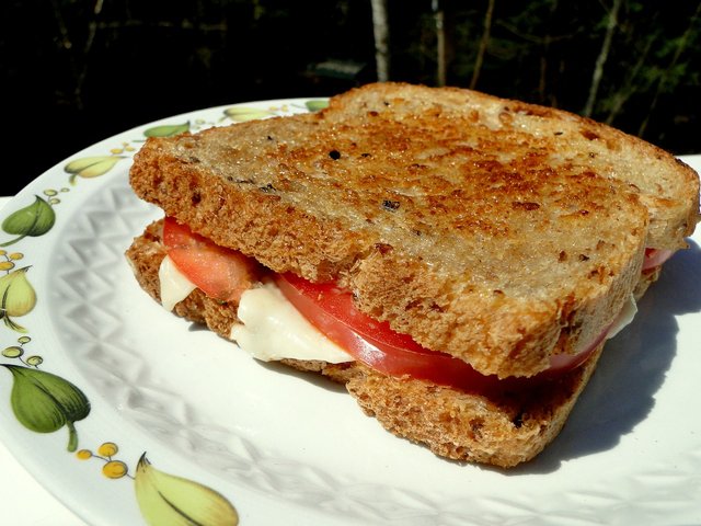 sandwich-49244_1280.jpg