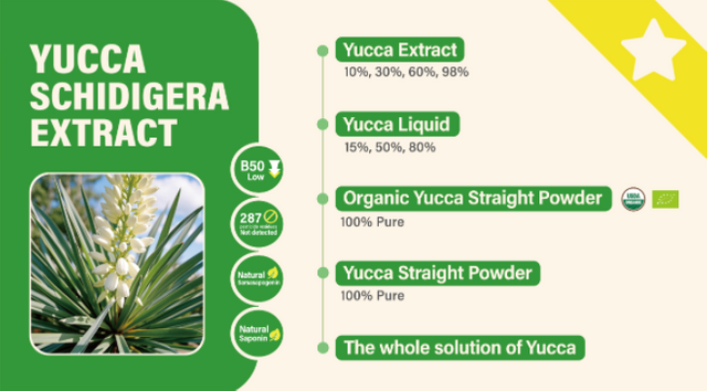 yucca.jpg