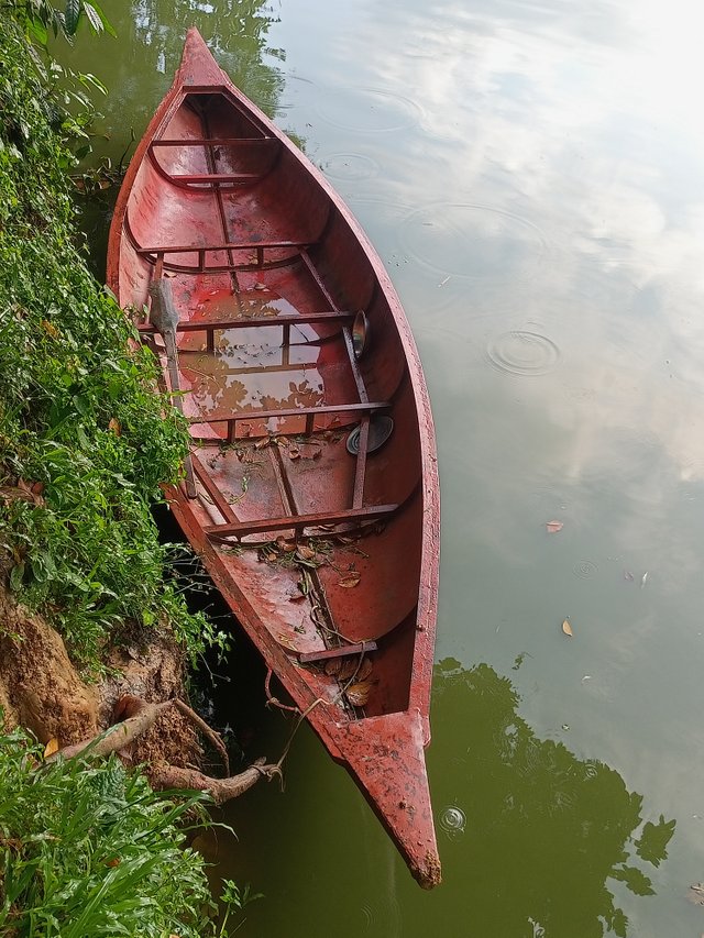 IMG20250822170657.jpg