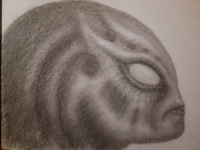 20250508_112020.jpg