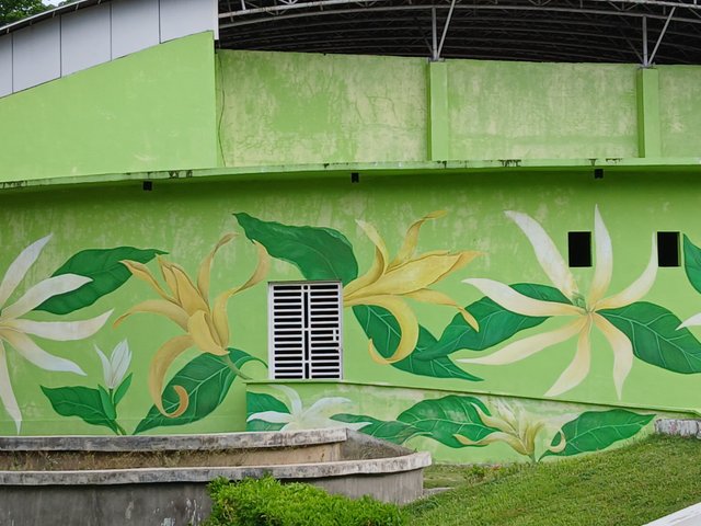 20250616_172507.jpg