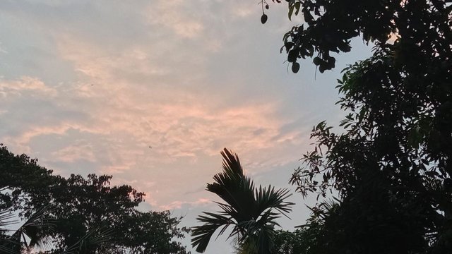 IMG_20250918_164641_350.jpg