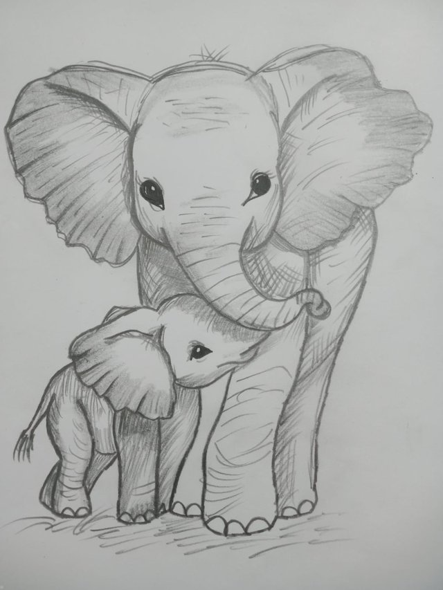 Elephant (5).jpg