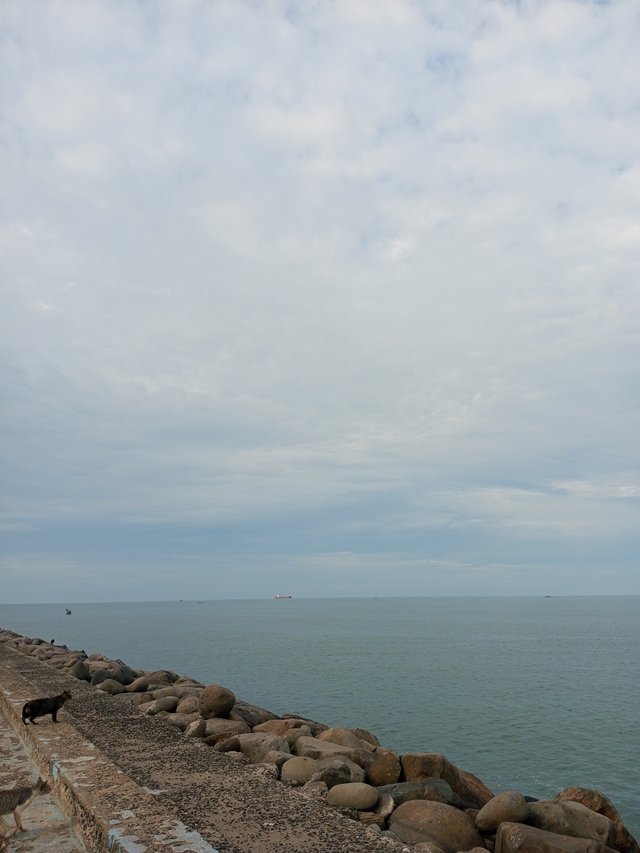 IMG_20251003_172306_830.jpg
