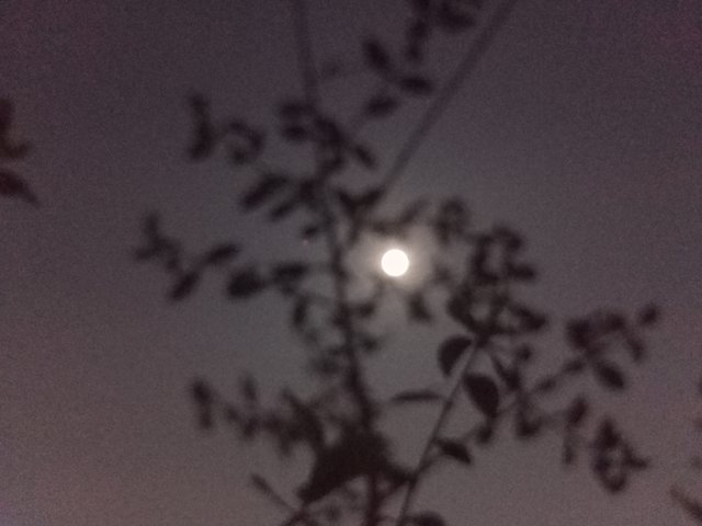IMG20250213220040.jpg