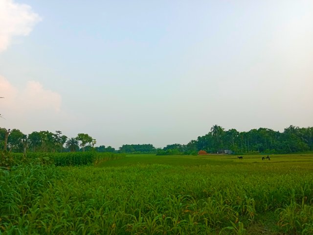 IMG_20250607_221943.jpg