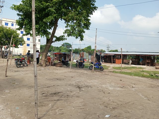 IMG_20240918_101722_605.jpg