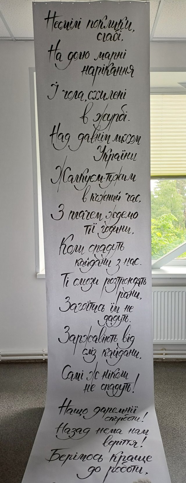 20250530_113544.jpg
