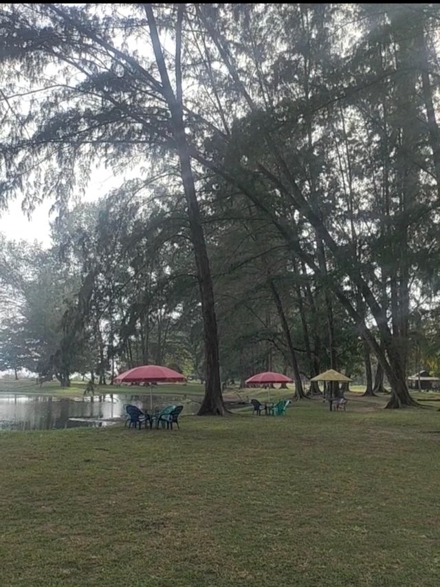 IMG_20250205_223635.jpg