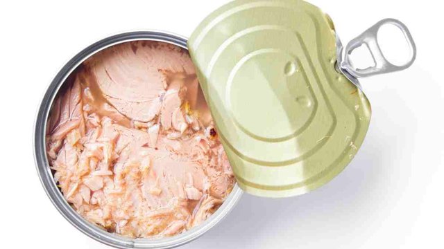 Canned Tuna.jpg