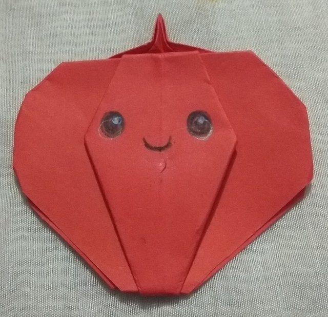 o5.jpg