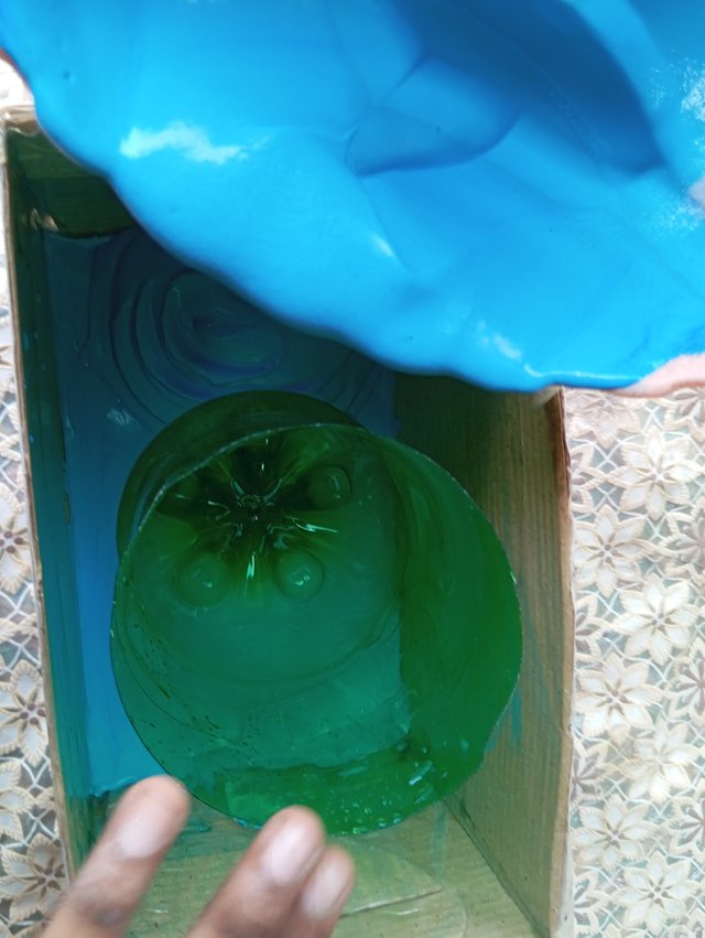 1000106452.jpg