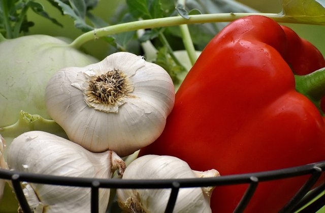vegetables-3483075_1280.jpg