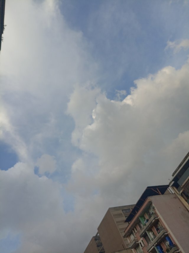 1001090462.jpg