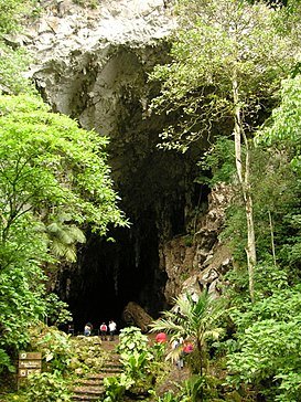 273px-Cueva_del_Guacharo.jpg