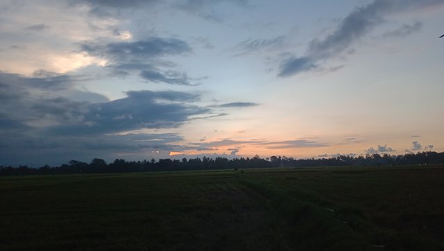 IMG_20250429_183047.jpg