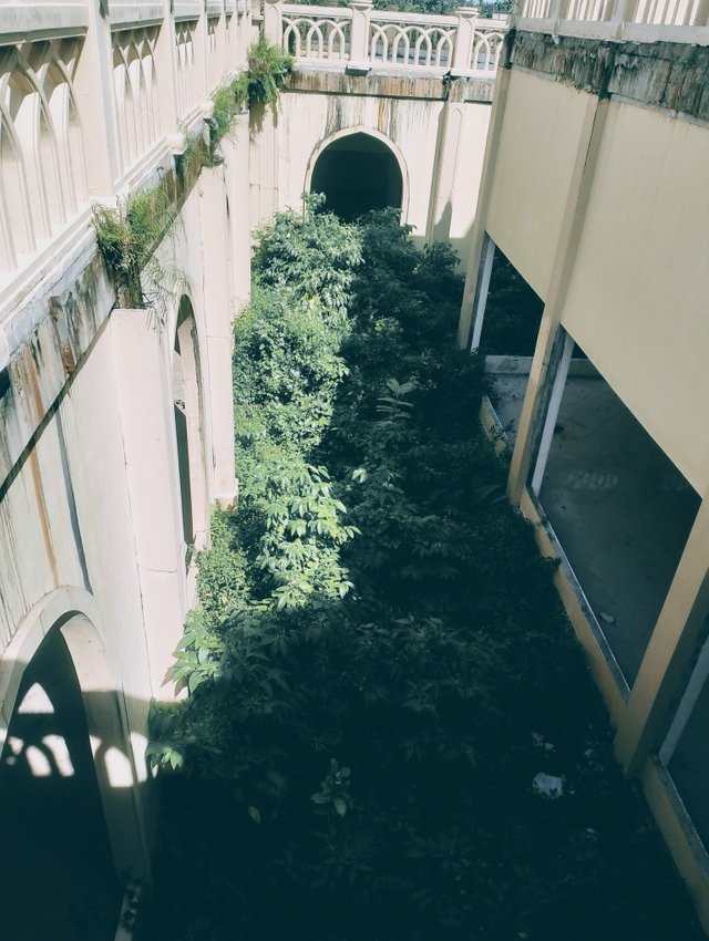 1000046316.jpg