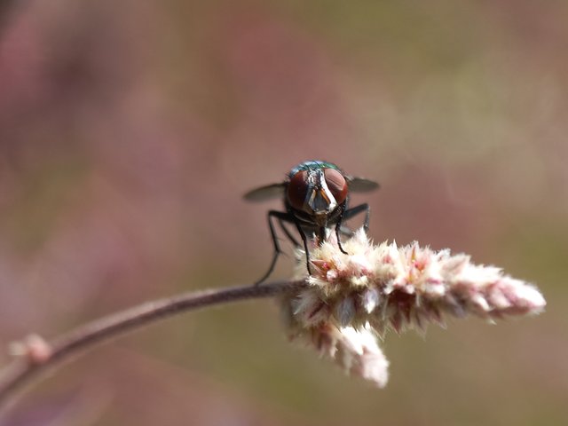 20221105_121546.jpg