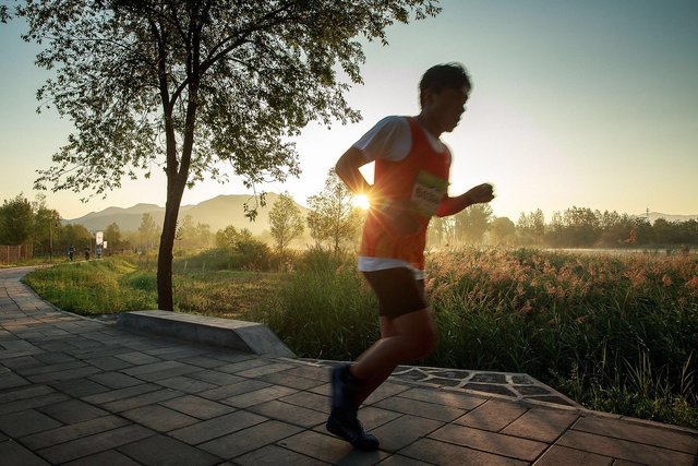 running-1609187_1280.jpg
