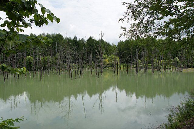 Japan-Hokkaido12802-234.jpg