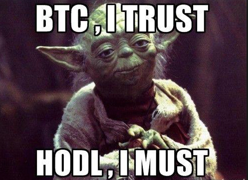 hodl i must .png