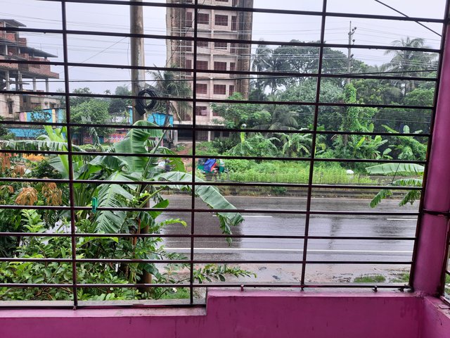 20250803_104209.jpg