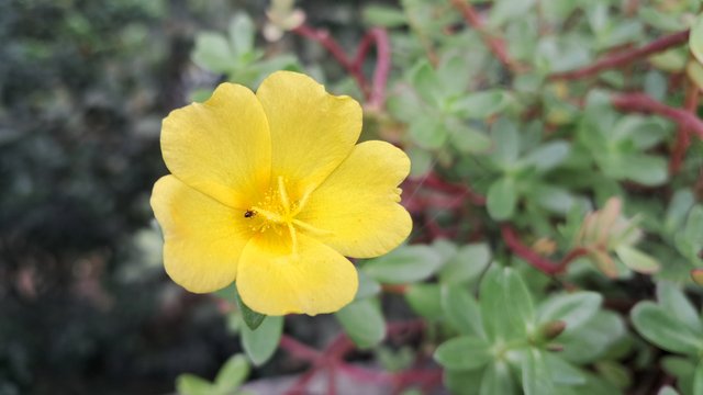 20240319_121507.jpg