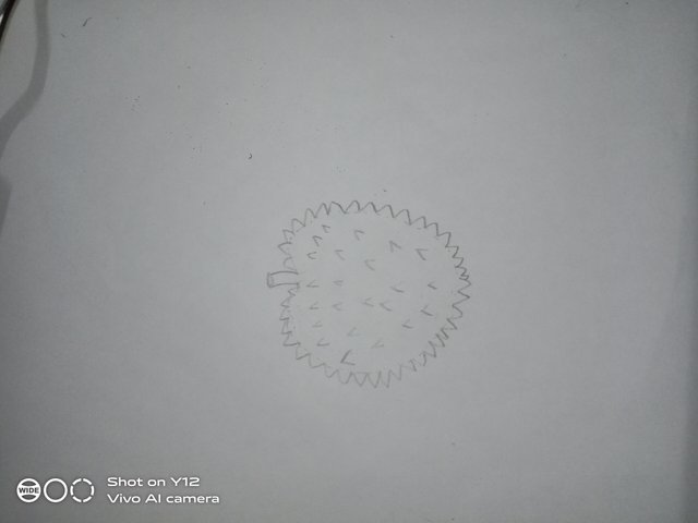 IMG_20250508_201211.jpg
