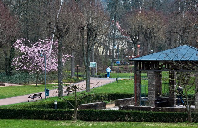 6904081380-heilbad-heiligenstadtspa-park-in-spring (FILEminimizer).jpg