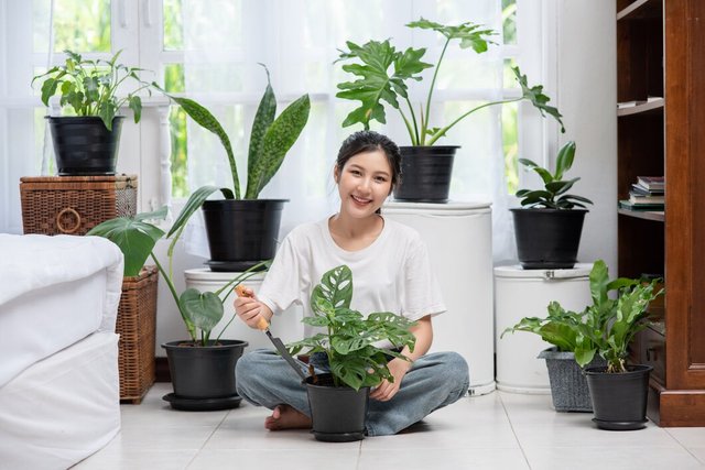 woman-is-sitting-planting-trees-house_1150-24151.jpg