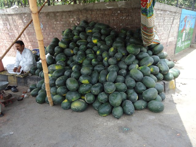 watermelons.in pakistan.JPG