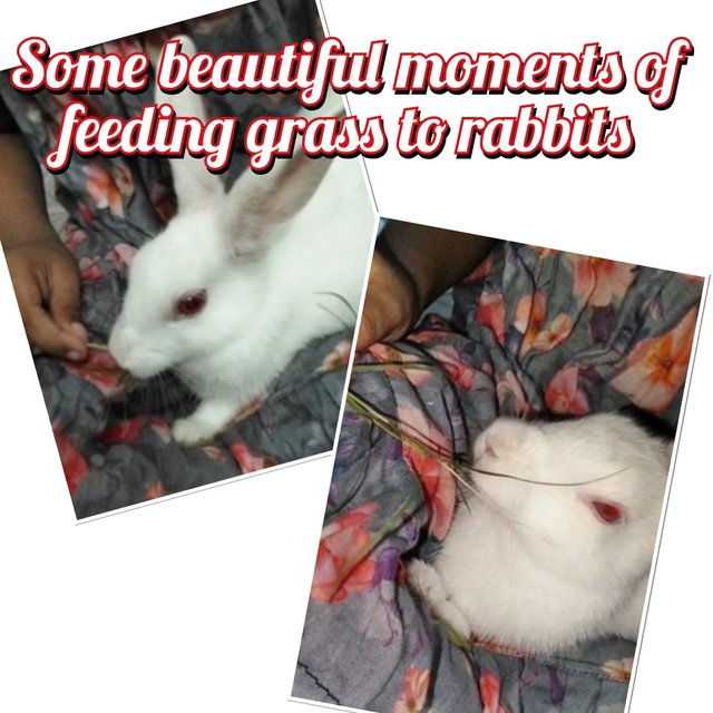 InCollage_20250919_074731530.jpg