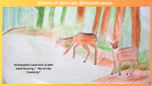 _Steem of Animals @imranhassan.png