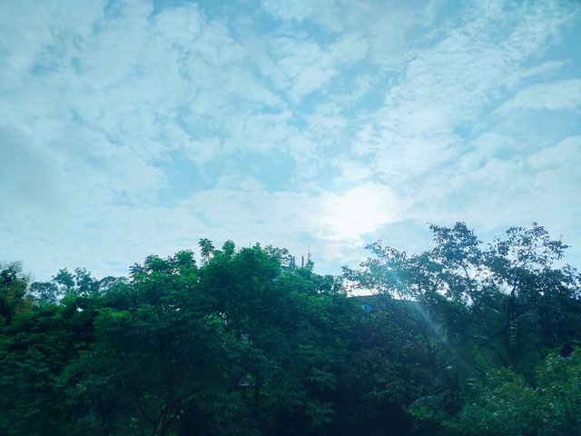 1000090218.jpg