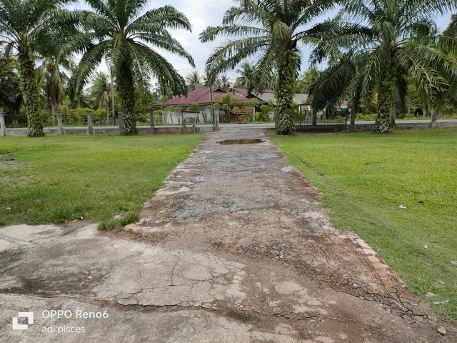 IMG20251001105319.jpg