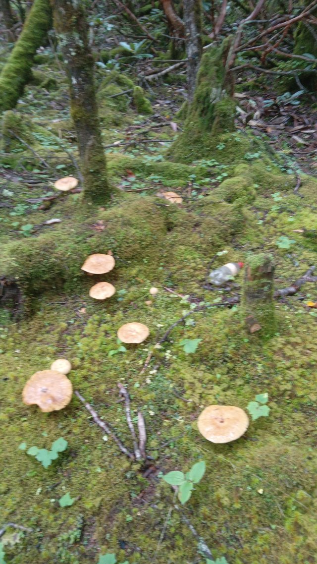 20250912_093728.jpg