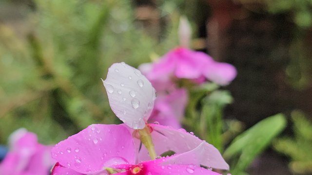 20250513_130556.jpg