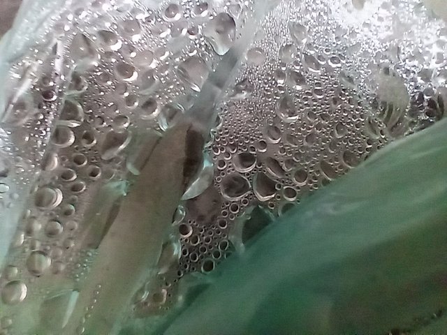 1000826137.jpg
