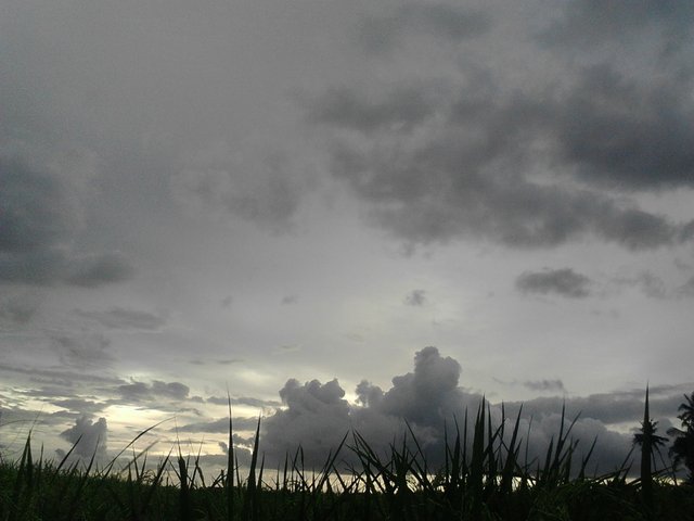IMG20230526175409.jpg