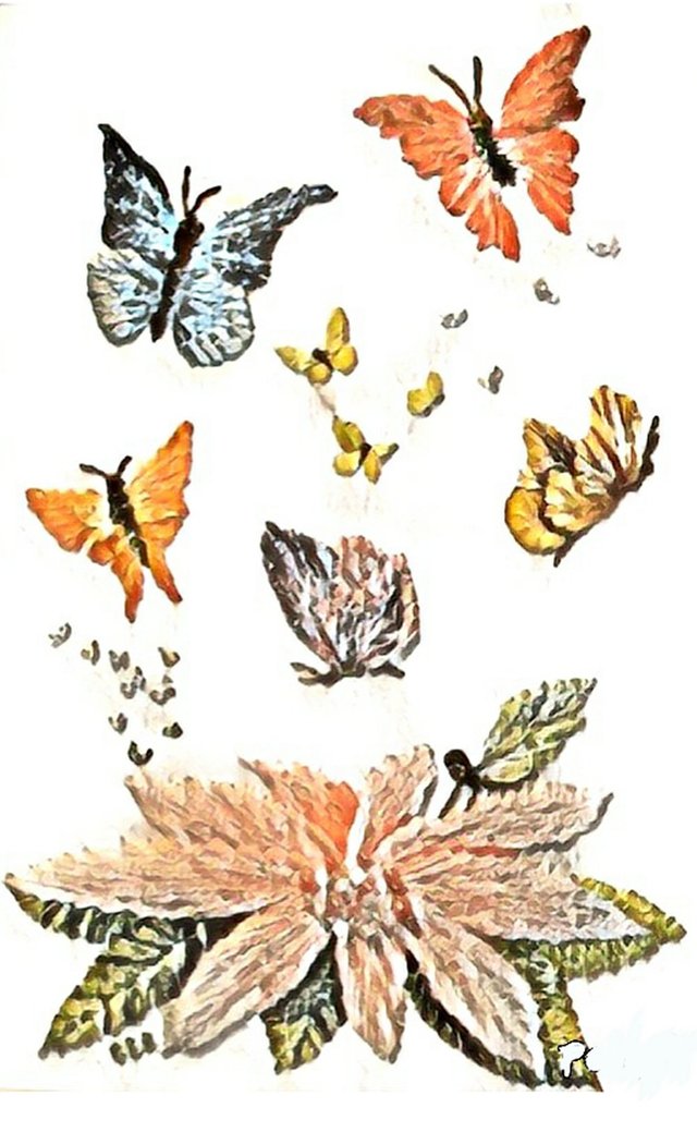 Butterfly Embroidery (Pinnt).jpg