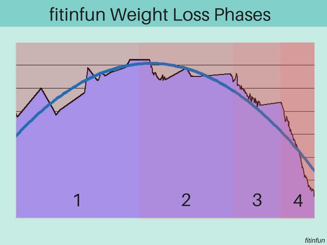 Weight loss journey phases fitinfun.jpg