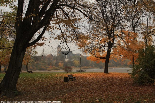 Autumn Bench in Park-092616.jpg