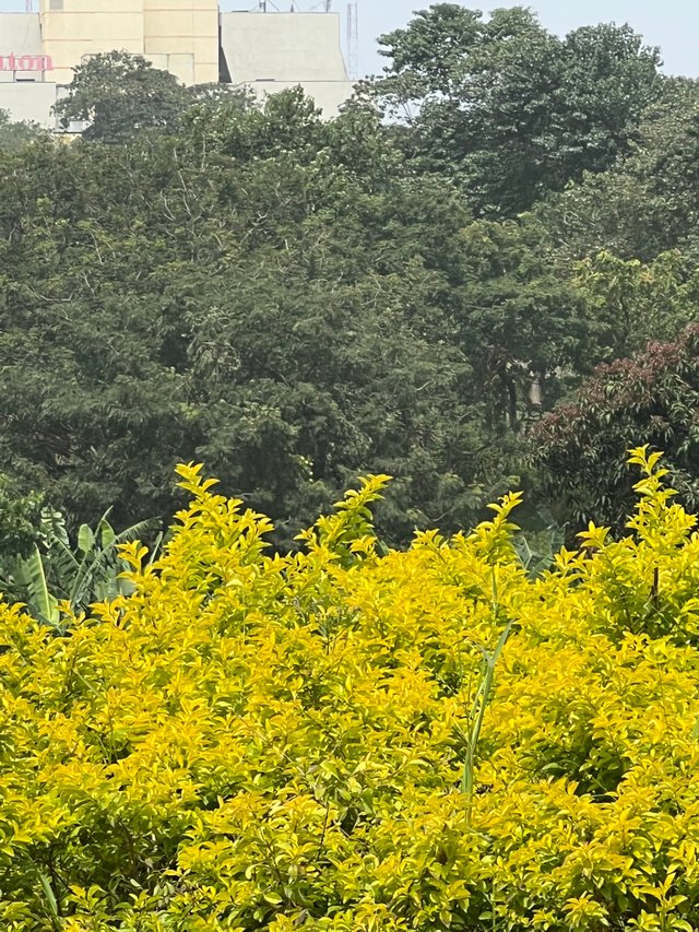 IMG_1670.jpeg