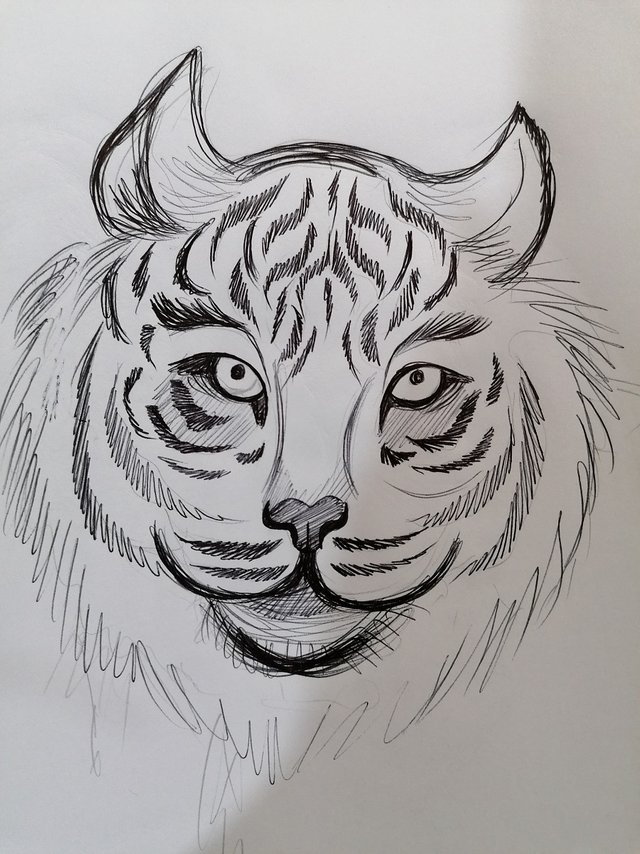 tiger pen (9).jpg