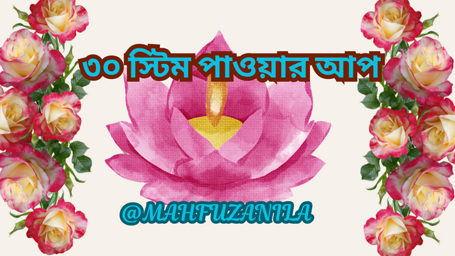 ৩০স্টিম পাওয়ার আপ.png