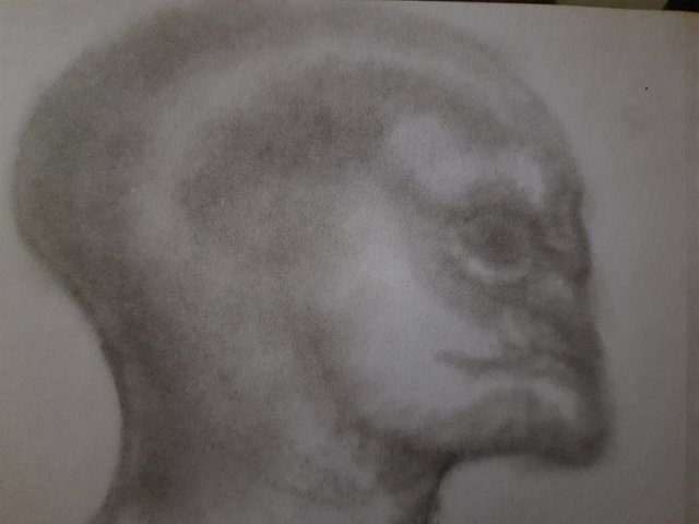 20250531_105447.jpg