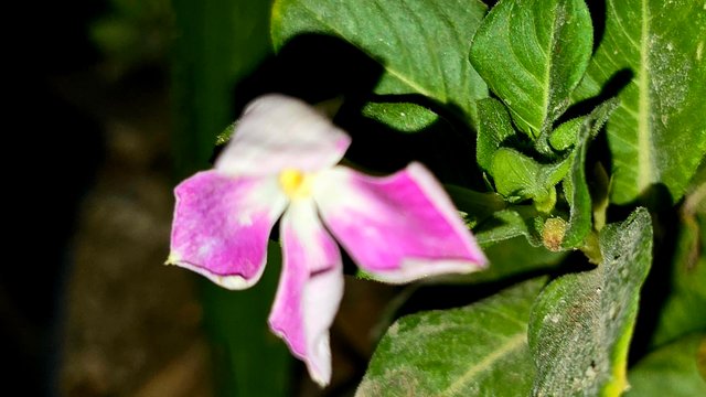 20250706_021840.jpg